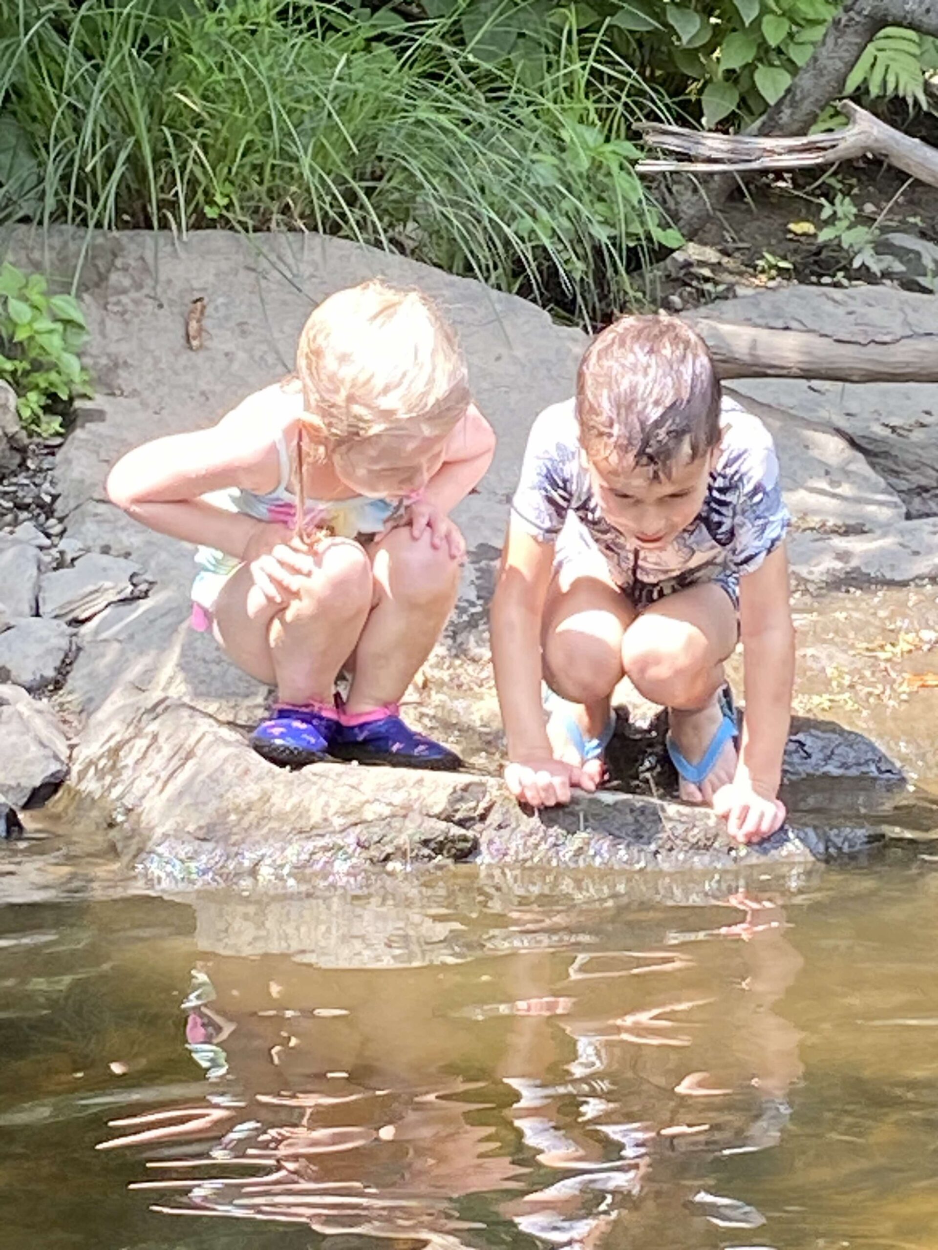 S’épanouir au rythme de la nature au CPE Les Tisserands