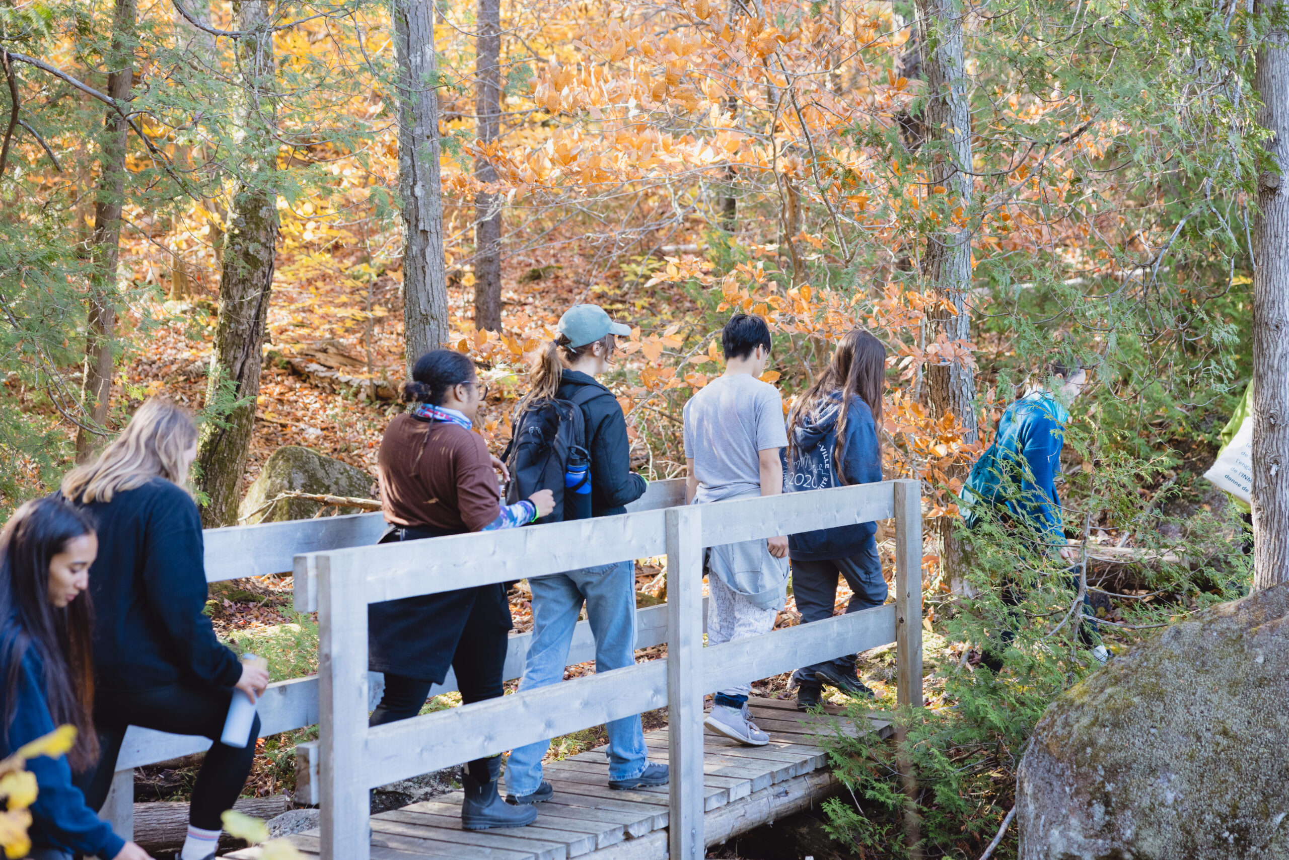 Jeunes qui marchent en forêt